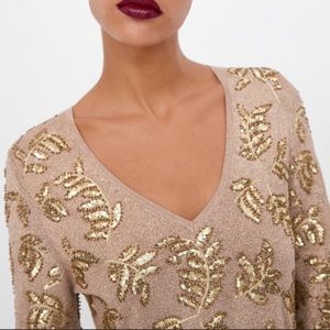 Zara Limited Edition Mini Dress w/ Gold Leaf Appliqué